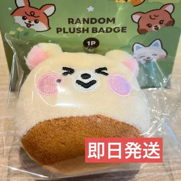 NCT DREAM Dreamiez 랜덤 배지 지성