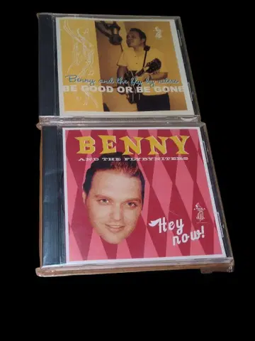 메루카리 로카빌리 Banny and The Flay By Niters