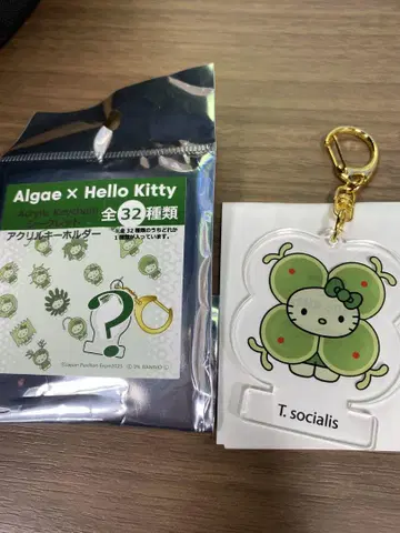 해초 키티 아크릴 키링 시아와세모
