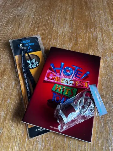 HOTEI GREATEST HITS TOUR 굿즈 3