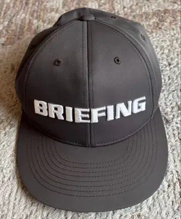 BRIEFING 그레이 캡