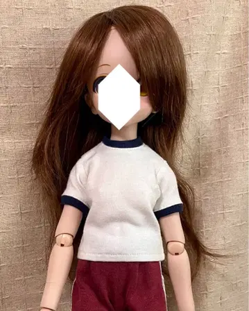인형 가발 보크스제