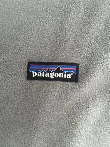 patagonia Synchilla 플리스 자켓 XL