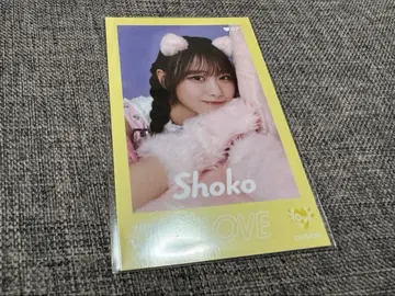 =LOVE 타키와키 쇼코 미니 포토 카드 고양이 의상 레어 컷