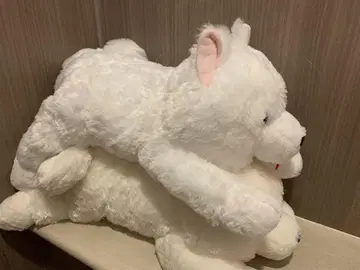 흐물흐물 사모예드군 뒹굴 울트라 BIG 봉제 인형 2종 세트