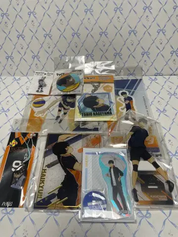 하이큐 카게야마 토비오 세트