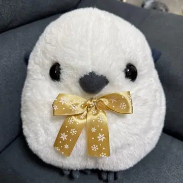 복복 시마연가 겨울색 절정 미사용 새상품