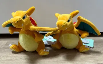 리자몽 포켓몬 fit 택 포함