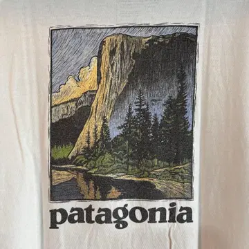 파타고니아 T셔츠 빈티지 patagonia L