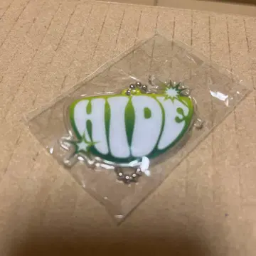 GReeeeN HIDE 키링