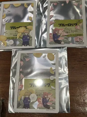 치기리 쿠니가미 마루이 경질 케이스