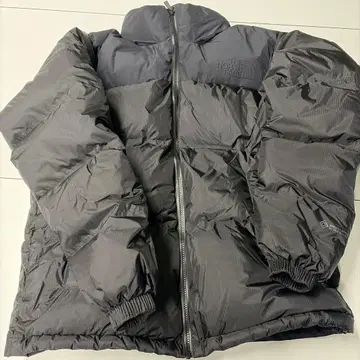 THE NORTH FACE GTX 눕시 자켓