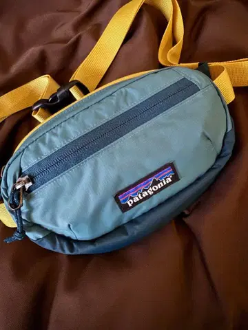 Patagonia 원사이즈 힙색