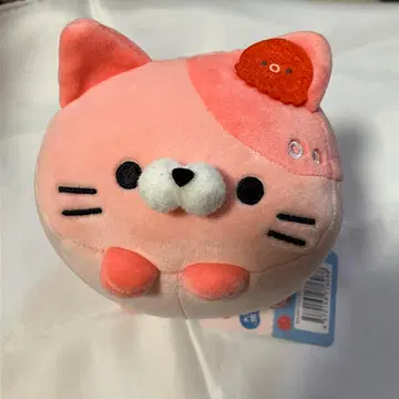 모찌후와 코로코로 냥코 오사카 한정판 타코냥 봉제 인형 지역 한정