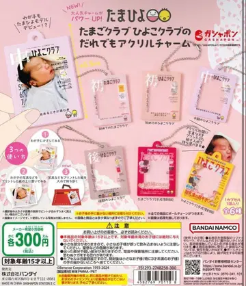 타마고 클럽 히요코 클럽 아크릴 참