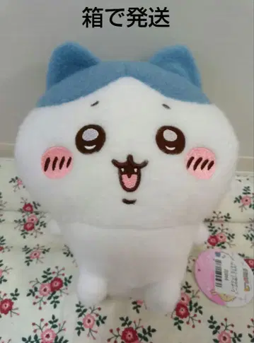하치와레 치이카와 (먼작귀) 양털 봉제 인형 새상품