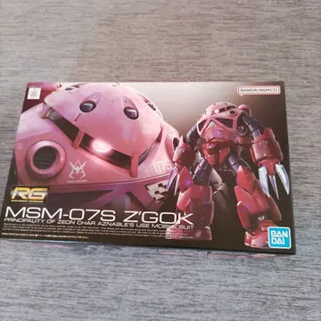 RG MSM-07S Z'GOK 프라모델