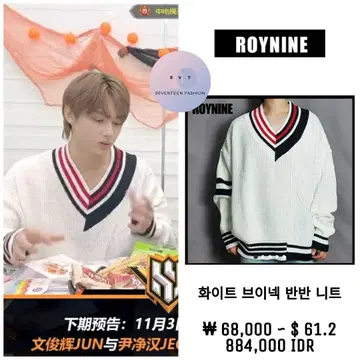 ROYNINE V넥 스웨터