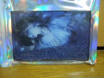 무기미래 아크릴 블록 아델라