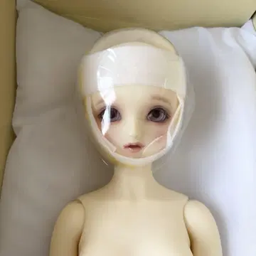 SD 마이 화이트 슈퍼돌피 보크스