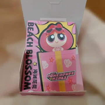 [ 파워퍼프걸스 ] 파티 서프라이즈 블라썸