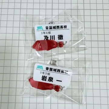 하이큐 참 포함 네임 배지 오이카와 이와이즈미
