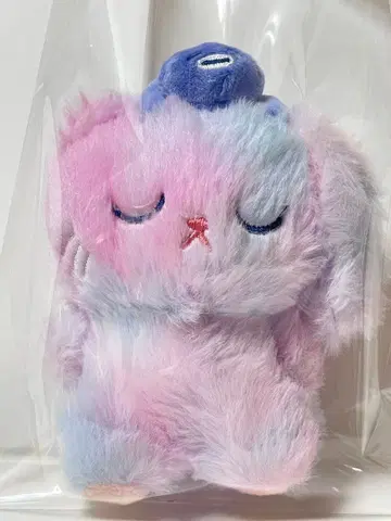 RIIZE 원빈 ODYSSEY midnight