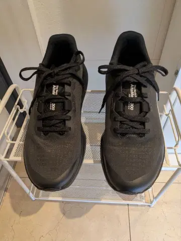 The North Face 알타메사 300 (남성용)