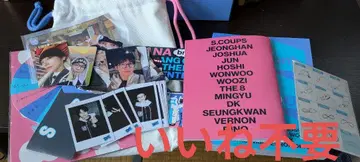 SEVENTEEN NANA bnb 나나민박