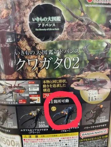 생물대도감 어드밴스 사슴벌레 02 (레어) 에라푸스 호소아카사슴벌레 블루