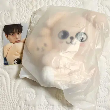 SKZOO MAGNET PLUSH SET 퍼핌