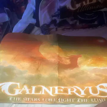 GALNERYUS 더 스타즈 라이트 더 듀얼 욕실 매트
