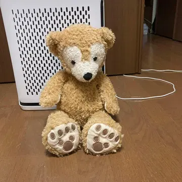 닷피짱