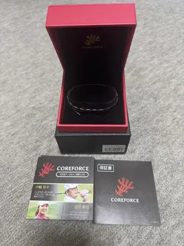 [ 중고 ] COREFORCE 블랙 스피넬 50cm