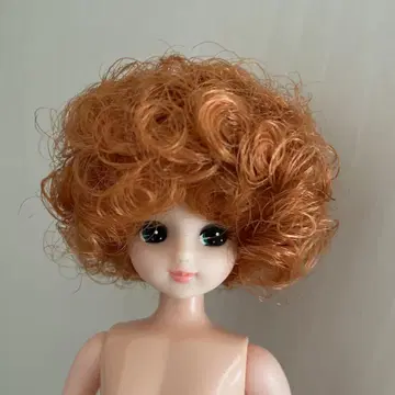 리카짱 캐슬 아프로리카짱