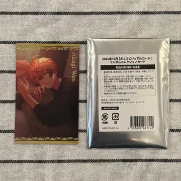 니지산지 보이스 비주얼 카드 아카기 웬