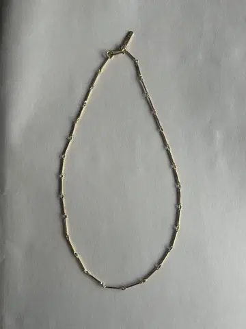 소피 부하이 골드 목걸이