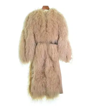 LOUIS VUITTON 코트 (기타) 여성용