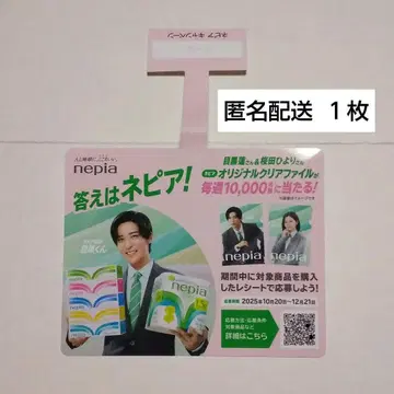 네피아 메구로 군 팝 1장