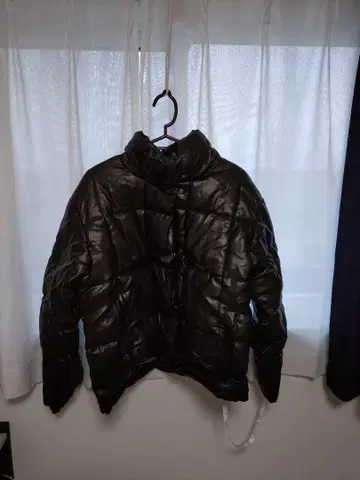 인조 가죽 다운