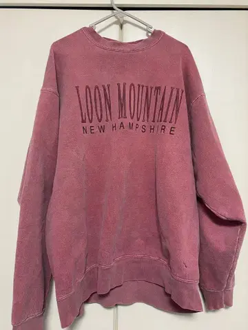 Loon Mountain 맨투맨 XL 핑크