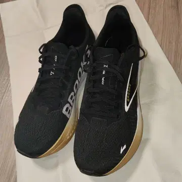 BROOKS 하이페리온 맥스 2