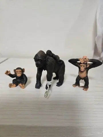 슐라이히 고릴라