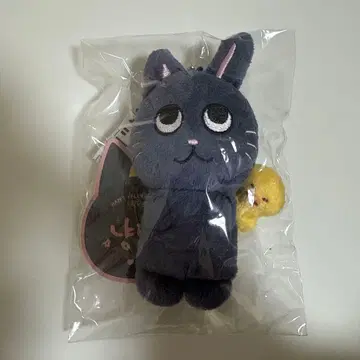 riize 원빈 봉제 인형 냥독