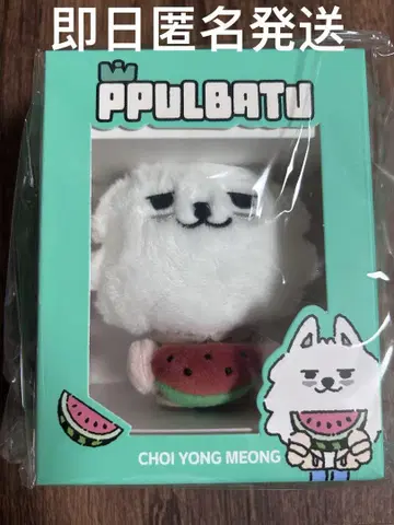 PPULBATU YONG MEONG 수빈 키링 summer