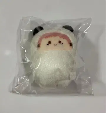 주술회전  이타도리 유우지