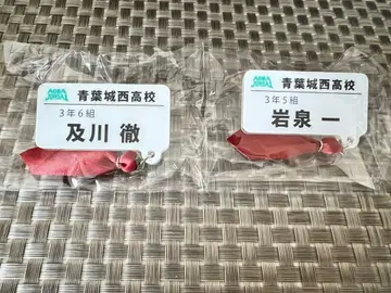 하이큐 네임 부착 참 배지 오이카와 이와이즈미