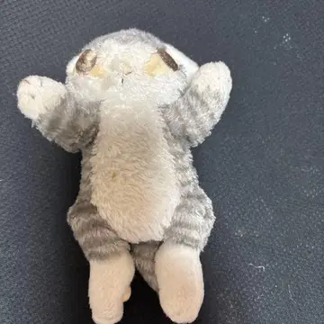 다얀의 봉제 인형 다얀