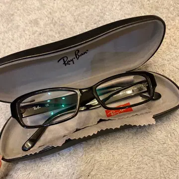 Ray-Ban 블랙 프레임 안경 케이스 포함