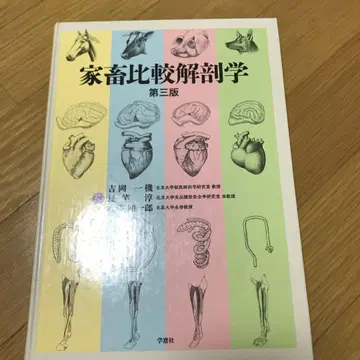 가축 비교 해부학